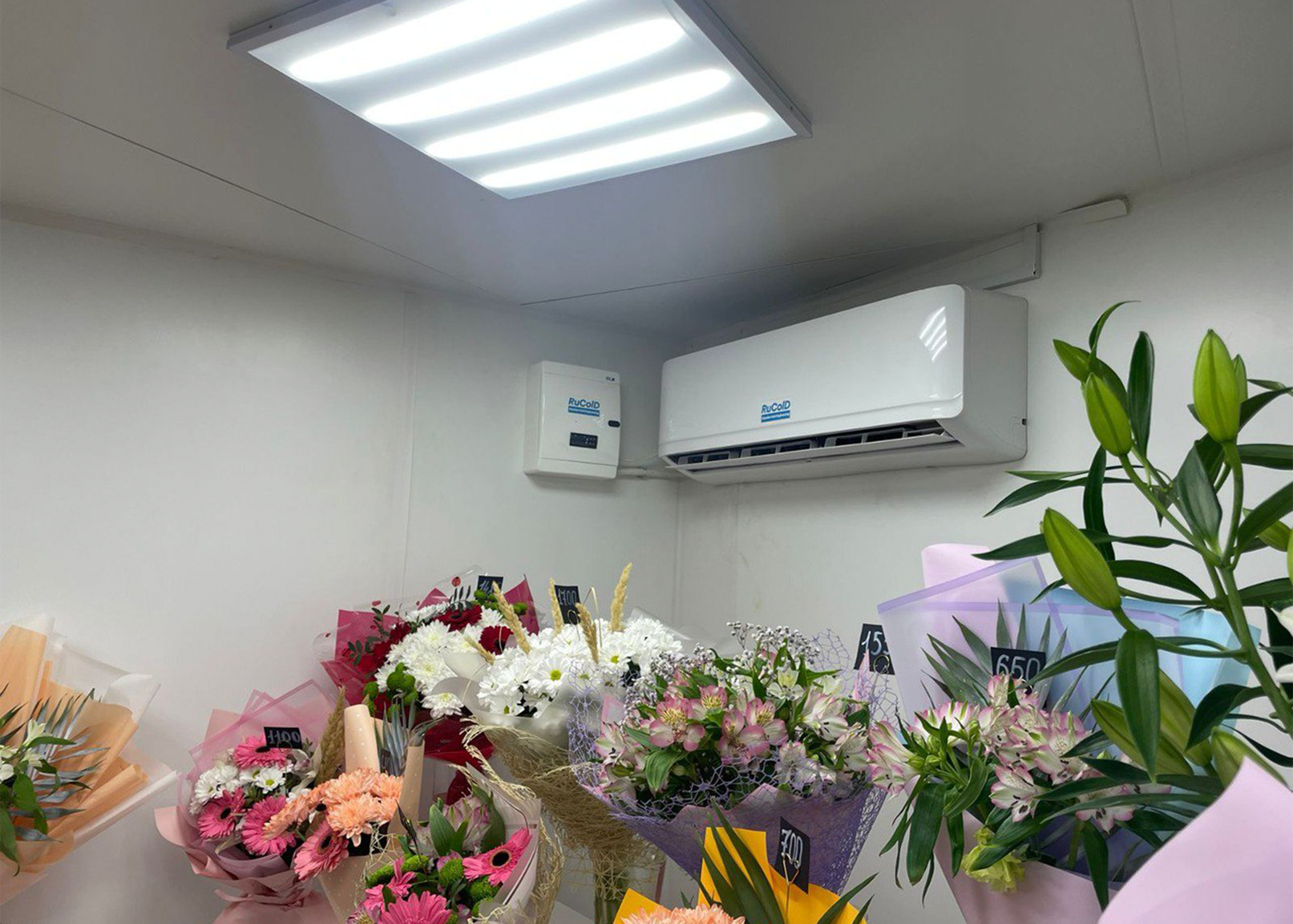 Оборудование RuColD